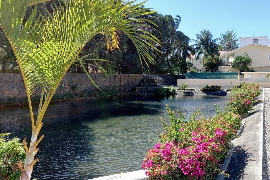 Le Dattier Holidays Flic-en-Flacq Exterior foto
